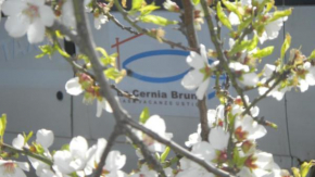 Case Vacanze La Cernia Bruna, Ustica